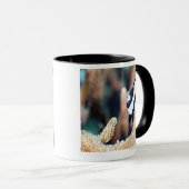 Reticulate dascyllus tasse (VorderseiteRechts)