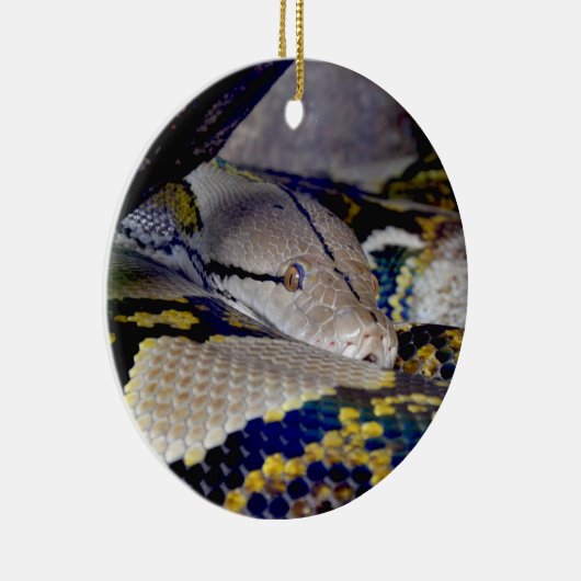 Reticulated Python Snake Keramik Ornament (Rechts)