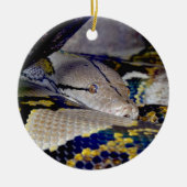 Reticulated Python Snake Keramik Ornament (Vorne)