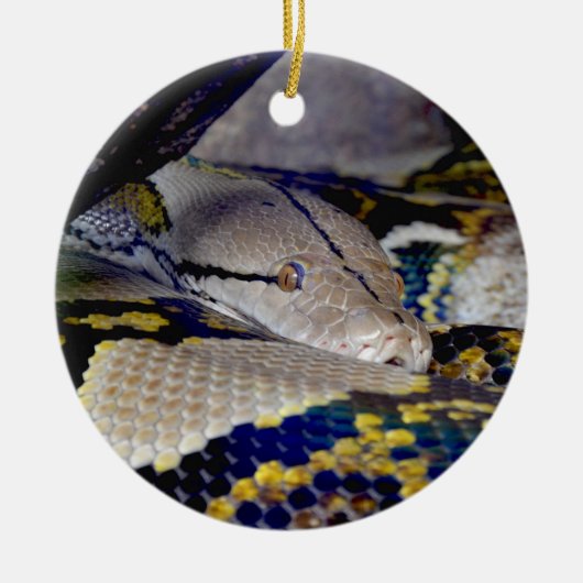 Reticulated Python Snake Keramik Ornament (Vorne)