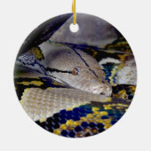 Reticulated Python Snake Keramik Ornament (Hinten)