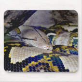 Reticulated Python Snake Mousepad (Vorne)