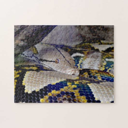 Reticulated Python Snake Puzzle (Horizontal)
