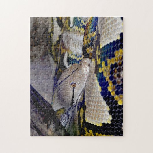 Reticulated Python Snake Puzzle (Vertikal)