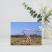 Reticulierte Giraffe Postkarte (Stehend Vorderseite)