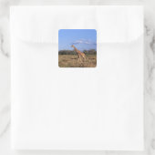 Reticulierte Giraffe Quadratischer Aufkleber (Tasche)