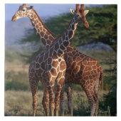 Retikulierte Giraffe 2 Fliese (Vorderseite)