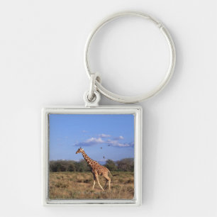 Retikulierte Giraffe 2 Schlüsselanhänger