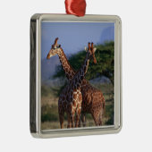 Retikulierte Giraffe 2 Silbernes Ornament (Rechts)