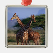 Retikulierte Giraffe 2 Silbernes Ornament (Vorne)