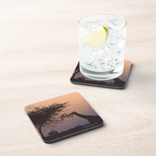 Retikulierte Giraffe 2 Untersetzer (Rechte Seite)