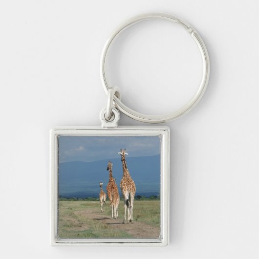 Retikulierte Giraffe (Giraffa camelopardalis) 2 Schlüsselanhänger (Vorne)