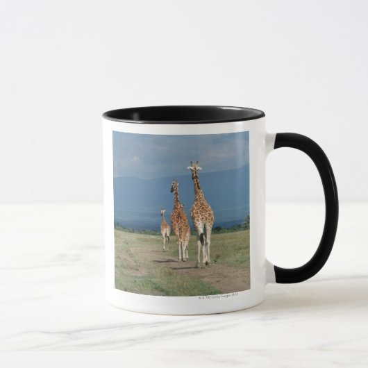 Retikulierte Giraffe (Giraffa camelopardalis) 2 Tasse (Rechts)