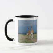 Retikulierte Giraffe (Giraffa camelopardalis) 2 Tasse (Links)