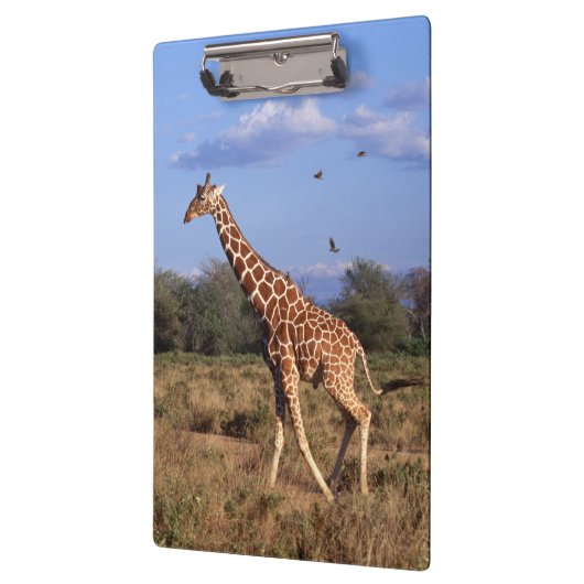 Retikulierte Giraffe Klemmbrett (Links)