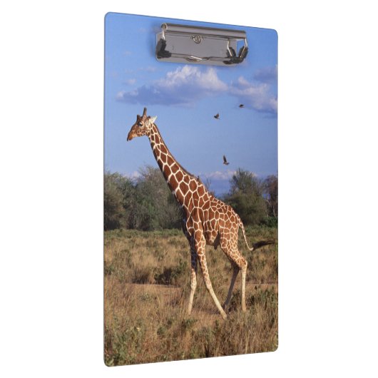 Retikulierte Giraffe Klemmbrett (Rechts)
