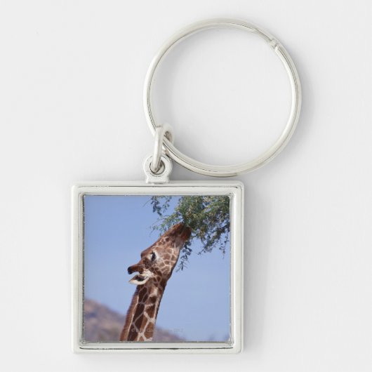 Retikulierte Giraffe Schlüsselanhänger (Vorne)