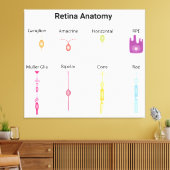 Retina-Anatomie Leinwanddruck (Insitu (Wohnzimmer))