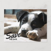 Retirement Party Replaceable Photo Save The Date Ankündigungspostkarte (Vorderseite)