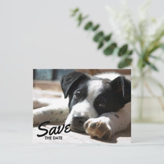 Retirement Party Replaceable Photo Save The Date Ankündigungspostkarte (Stehend Vorderseite)