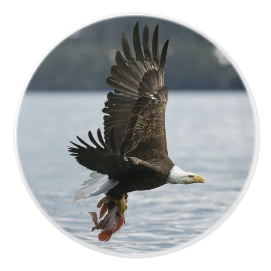 Retrieval Keramikknauf (Vorderseite)