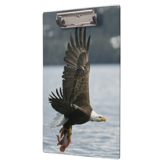 Retrieval Klemmbrett (Links)