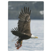 Retrieval Klemmbrett (Rückseite)