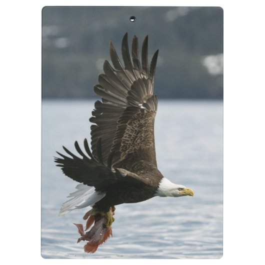 Retrieval Klemmbrett (Rückseite)