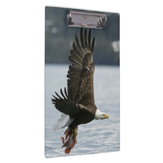 Retrieval Klemmbrett (Rechts)