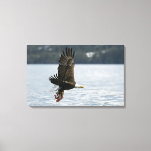 Retrieval Leinwanddruck