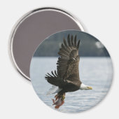 Retrieval Magnet (Vorderseite/Rückseite)