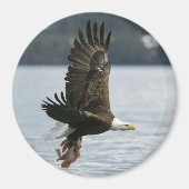 Retrieval Magnet (Vorne)