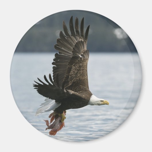 Retrieval Magnet (Vorne)