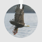 Retrieval Ornament (Rückseite)