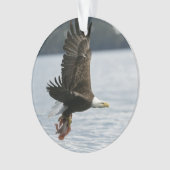 Retrieval Ornament (Vorderseite)