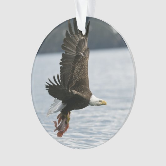 Retrieval Ornament (Vorderseite)