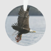 Retrieval Ornament (Vorderseite)