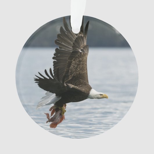 Retrieval Ornament (Vorderseite)