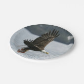 Retrieval Pappteller (Schrägansicht)