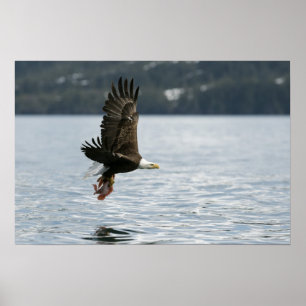 Retrieval Poster