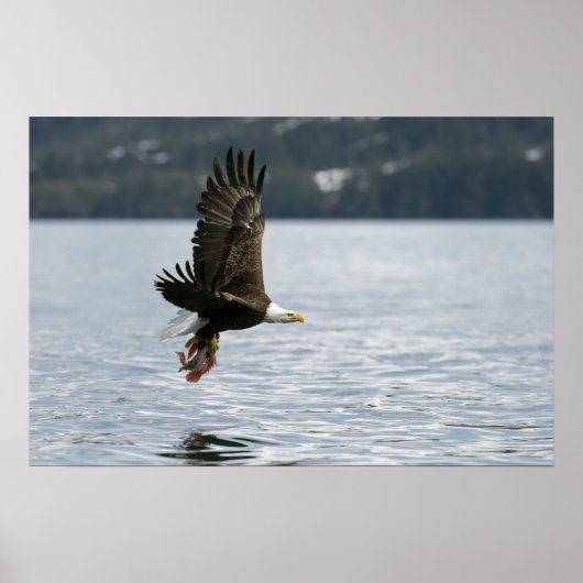 Retrieval Poster (Vorne)