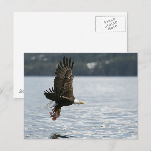 Retrieval Postkarte (Vorne/Hinten)