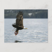 Retrieval Postkarte (Vorderseite)