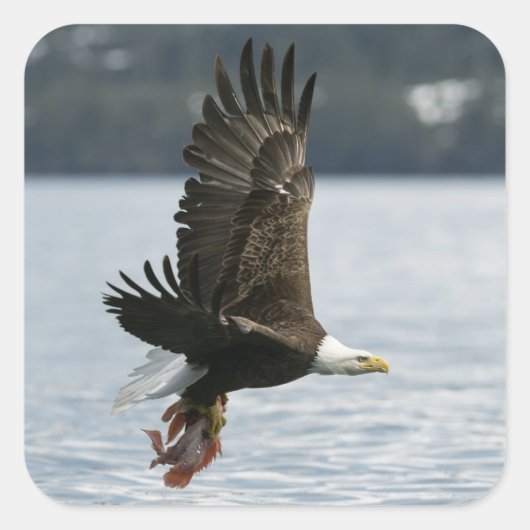 Retrieval Quadratischer Aufkleber (Vorderseite)