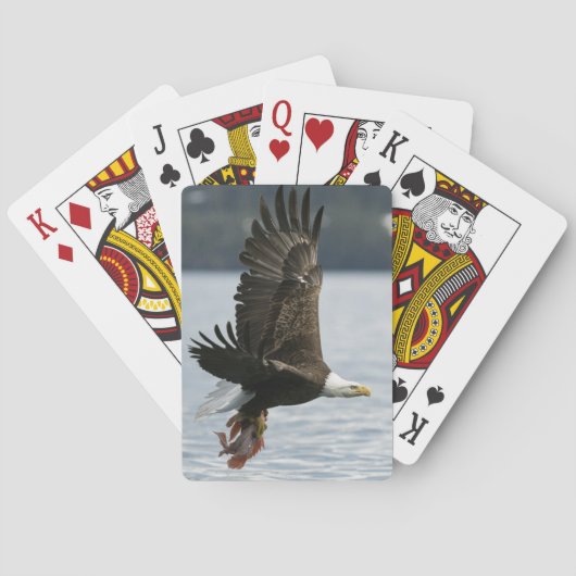 Retrieval Spielkarten (Rückseite)