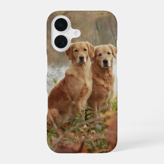 Retriever Buddies iPhone 16 Hülle (Rückseite)