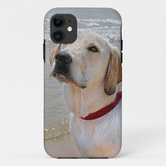 Retriever Eyes Case-Mate iPhone Hülle (Rückseite)
