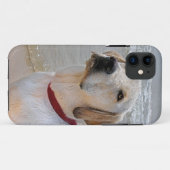 Retriever Eyes Case-Mate iPhone Hülle (Rückseite (Horizontal))
