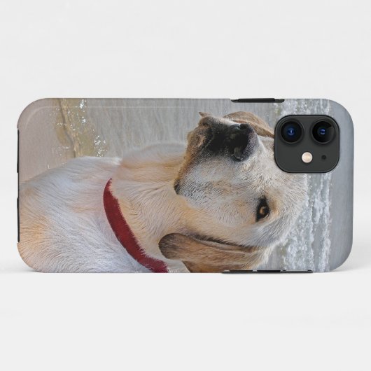 Retriever Eyes Case-Mate iPhone Hülle (Rückseite (Horizontal))