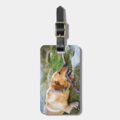 Retriever Gepäckanhänger (Vorderseite vertikal)